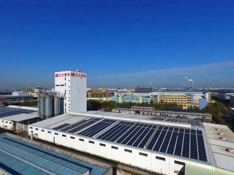 低碳新能源有什么，什么是低碳清潔新能源